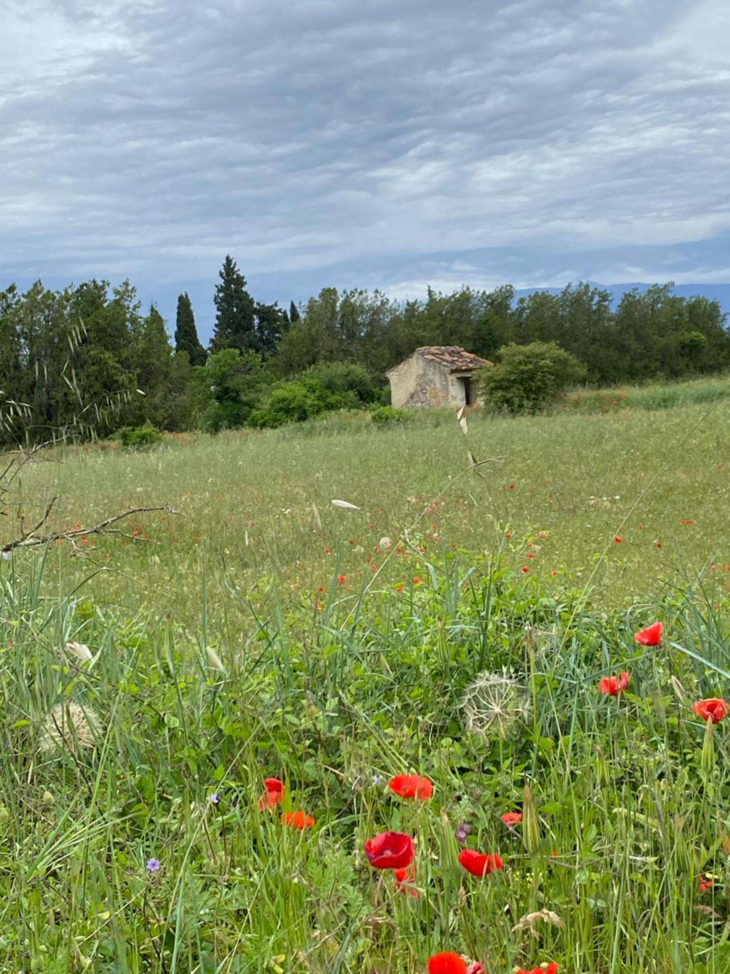 Inspiration Maison Entiere Avec Jardin Pernes-les-Fontaines Exterior photo